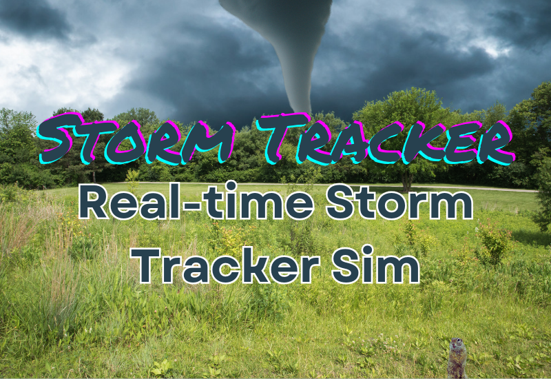 Storm Tracker (Video Game)